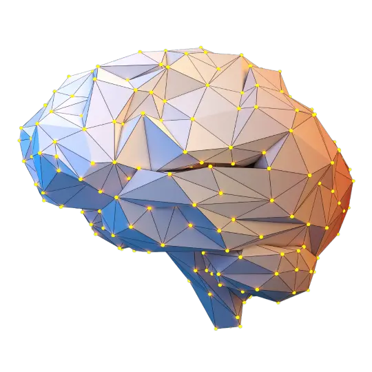 Image d'un cerveau avec des neurones